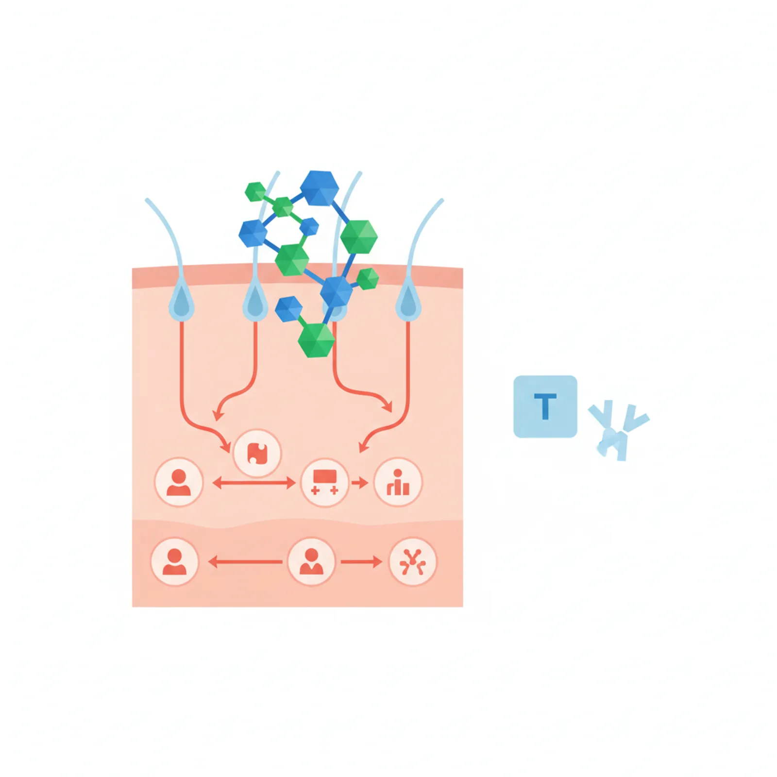 Таргетная и иммунотерапия